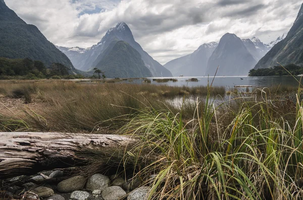 Milford Sound, Nový Zéland, na zamračený den — Stock fotografie
