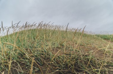 Bulutlu kırsal yollar