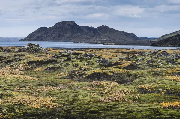 IJslandse vulkanische landschap — Stockfoto