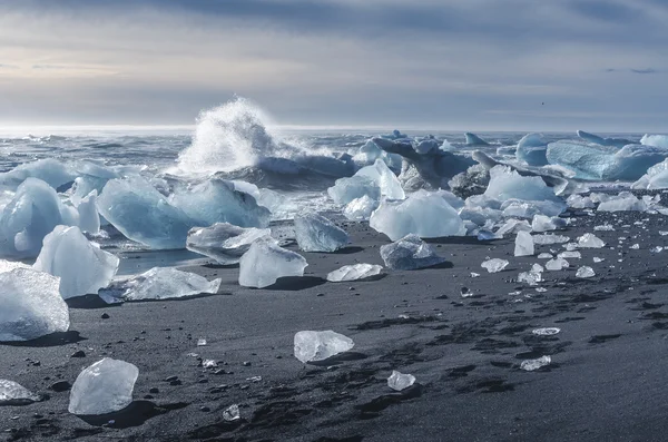 Plage noire avec des morceaux de glace — Photo