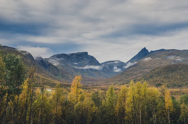 Noorse herfst landschap — Stockfoto