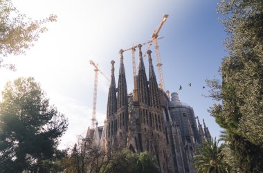Ocak ayı 31st 2016 Barcelona, İspanya. Sagrada Familia Katedrali eserlerinden ilerliyor