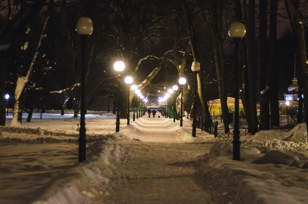 Parque de inverno à noite — Fotografia de Stock