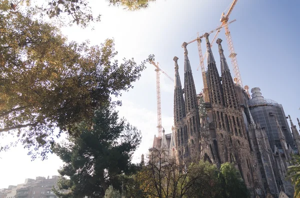 31 janvier 2016 Barcelone, Espagne. Les travaux sur la cathédrale de la Sagrada Familia progressent — Photo