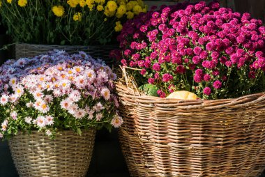 Çiçekli birkaç hasır sepetin parçası