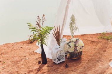 Güneşli hanım evlatları, şeffaf bir çaydanlıkla nehir ve çimenlerin arka planına yaklaşıyorlar..