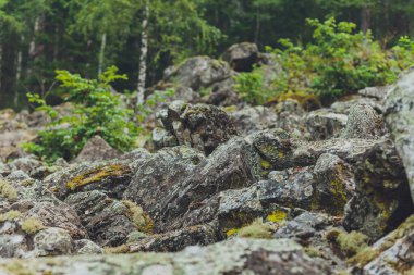 Aigir 'in kayaları orman yangınının dumanında. Bashkortostan.