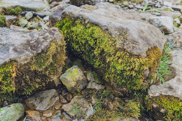 Ripples létre árnyékok rá kerek kavicsok a vízben. — Stock Fotó