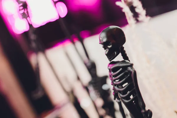 Row toy black skeleton simbol halloween close-up. — Stock Photo, Image