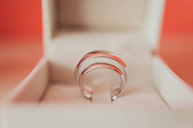 Arka plandaki kutuda lüks stil alyanslar..