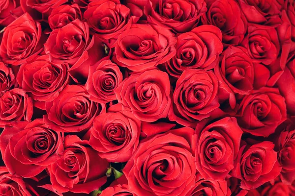 Bouquet de roses roses. Gros plan, vue de dessus. Photo De Stock