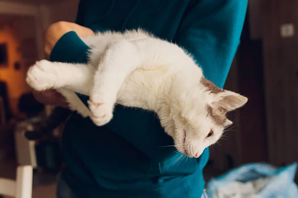 Junger Mann mit weißer Katze in Großaufnahme. — Stockfoto