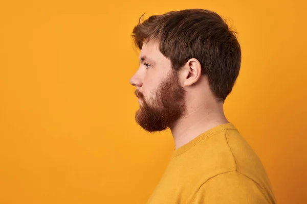 Perfect beard. Close-up of young bearded man standing against yellow isolated background. — Stock Photo, Image