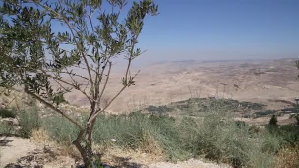 Гора Нибо, Иордания. Гора Нево - гордость Иордана, святое место, ошеломляющий уголок земли, который запечатлен в Книге книг - Библия. — стоковое видео
