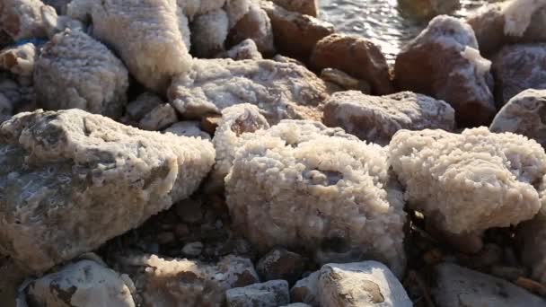 Costa cristalina del Mar Muerto, Jordania. — Vídeos de Stock