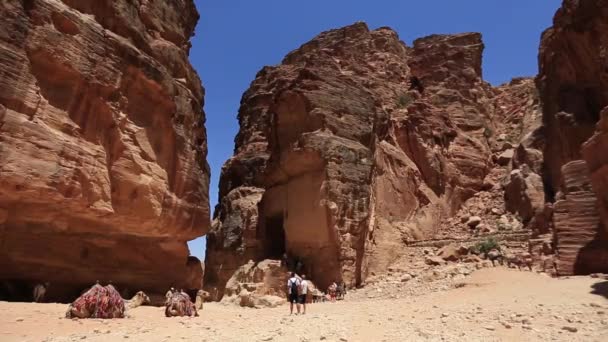 PETRA, JORDAN - 15. března 2018: Populární doprava - velbloudi. Petra. Jordán. — Stock video