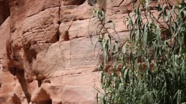 Ürdün 'ün Petra kentindeki Manastır veya El Deir' in Yüksek Görüş Alanı,