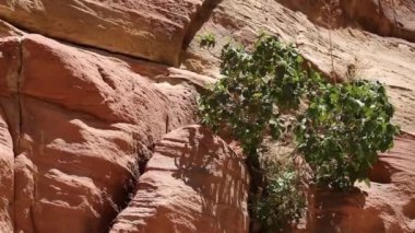 Ürdün 'ün Petra kentindeki Manastır veya El Deir' in Yüksek Görüş Alanı,