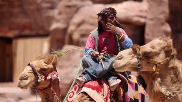 PETRA, JORDAN - MARCH 15, 2018: Popular Transportation - camels. Petra. Jordan. — Stock Video