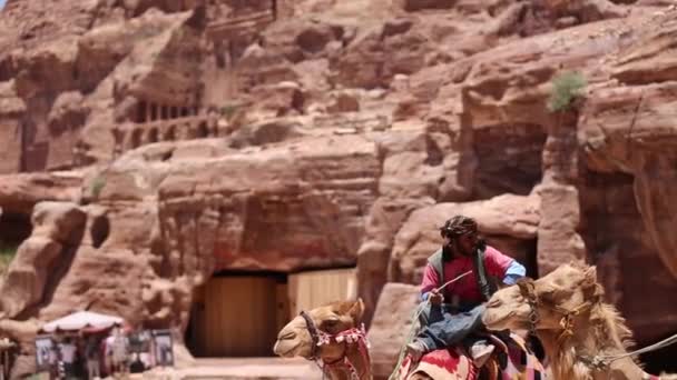 PETRA, JORDAN - 15 maart 2018: Populair vervoer - kamelen. Met Petra. Jordanië. — Stockvideo