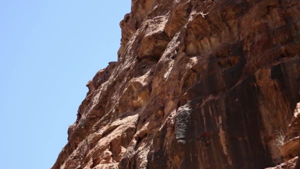 El Siq - galería de piedra a la ciudad escondida de Petra, Jordania. Patrimonio de la Humanidad UNESCO. — Vídeos de Stock