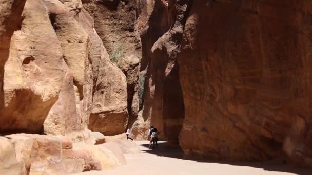 PETRA, JORDANIA - 15 DE MARZO DE 2018: Vista Elevada del Monasterio o El Deir en la Antigua Ciudad de Petra, Jordania, — Vídeos de Stock