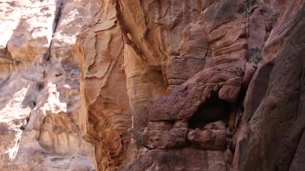 De Siq - stenen galerij naar de verborgen stad Petra, Jordanië. UNESCO Werelderfgoed. — Stockvideo