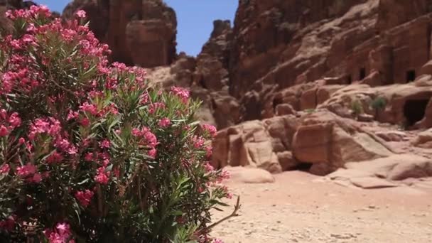 Vista Elevada do Mosteiro ou El Deir na Cidade Antiga de Petra, Jordânia, — Vídeo de Stock