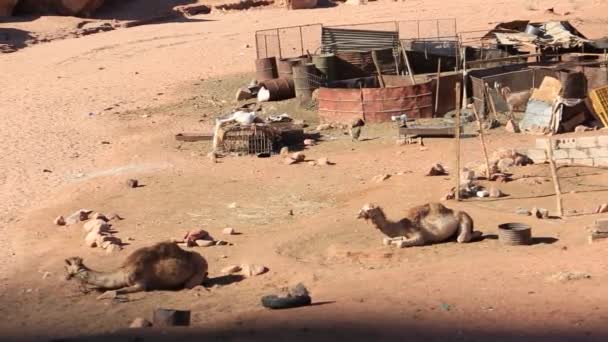 Camping wzdłuż skał w Petra, Wadi Rum. Jordania. — Wideo stockowe
