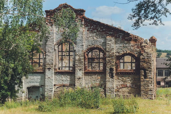 Terkedilmiş taştan bir evin kalıntıları yosunlarla kaplı ve ormandaki ağaçlarla kaplanmış.. — Stok fotoğraf