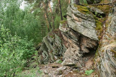 Güzel filiz manzarası. Güneşli bir günde dağ köyü. Mavi gökyüzü. Nisan 'da tarlalar. Çiftlikte yeşil çimenler.