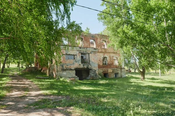 Остатки заброшенного каменного дома, покрытого мхом и заросшего деревьями в лесу. — стоковое фото