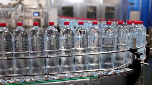 Las nuevas botellas de plástico en la cinta transportadora de la fábrica de bebidas. — Vídeo de stock