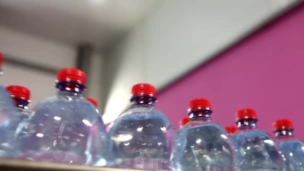 Las nuevas botellas de plástico en la cinta transportadora de la fábrica de bebidas. — Vídeo de stock