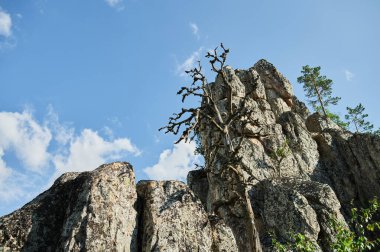 Inzer 'in dişleri Tirlyansky köyü yakınlarında kayalık. Rusya, Güney Ural, Bashkortostan Cumhuriyeti, Beloretsky bölgesi.