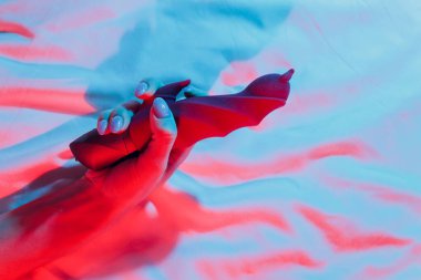 Yatak odasında elinde vibratör tutan bir kadın..