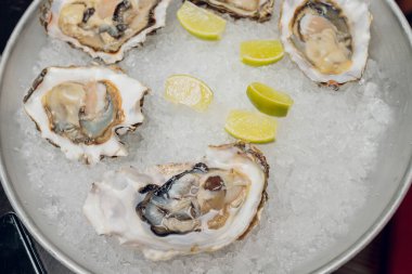 Dilimlenmiş limonla taze açılmış istiridye ezilmiş buzun üstünde fotokopi alanı ile sunuluyor..