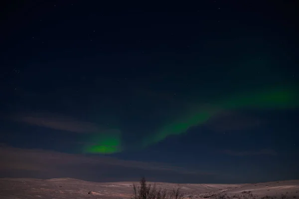 Nordlicht auf dem stillen Feld vor Sonnenaufgang. — Stockfoto