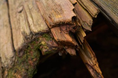 Eski ahşap teknenin, eski tersane tarafının yüzeyini kapatın..