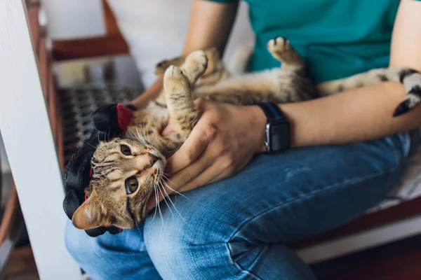 Мужчина ухаживает за кошкой в специальных перчатках. Уход за животными. — стоковое фото