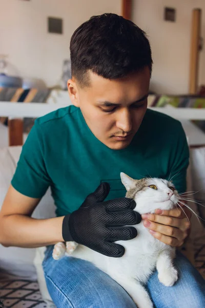 Man grooming cat with special gloves. Pet care.