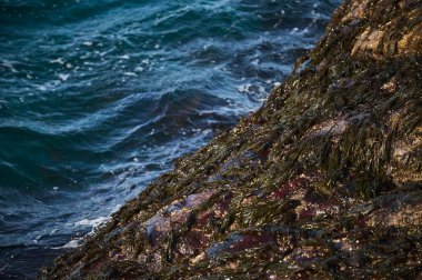 Küçük deniz dalgaları kıyıdaki taşlara çarpıyor. Parlak güneşli bir gün ve dalgaların beyaz köpüğü. Hava kirliliğinin çevresel bir etkisi olarak buzulların erimesi.