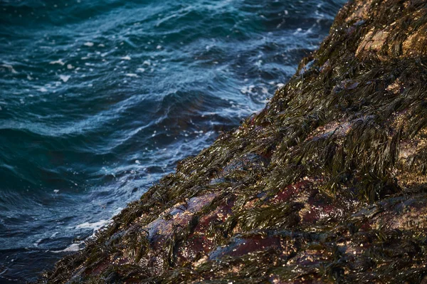 海岸の石に対して小さな海の波が壊れます。明るい晴れた日と波の白い泡。大気汚染の環境への影響として氷河を溶かす. — ストック写真