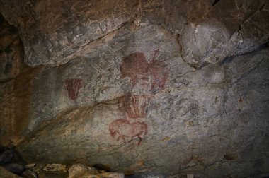 Kaya resimleri ya da mağara resimleri, tarih öncesi ve tarihi varlıkların sanatsal ifadeleridir. Hindistan 'da çoğunlukla kum taşı kayalarında çizimler ve tablolar şeklinde bulunurlar.,