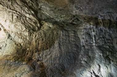 Kaya resimleri ya da mağara resimleri, tarih öncesi ve tarihi varlıkların sanatsal ifadeleridir. Hindistan 'da çoğunlukla kum taşı kayalarında çizimler ve tablolar şeklinde bulunurlar.,