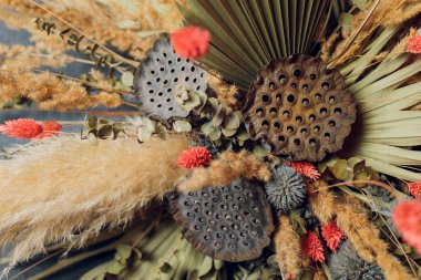 Güzel kurumuş çiçek aranjmanı Banksia, Okaliptüs 'te.