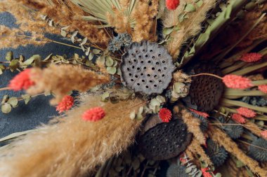Güzel kurumuş çiçek aranjmanı Banksia, Okaliptüs 'te.