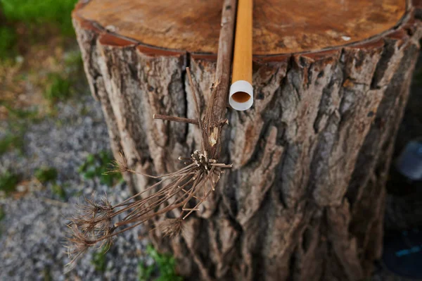 Вітровий музичний інструмент дерев'яна флейта ізольована . — стокове фото