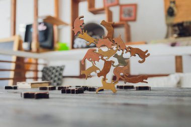 kedi yerde yapboz oynuyor. Yakın plan..