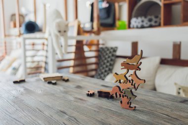 kedi yerde yapboz oynuyor. Yakın plan..